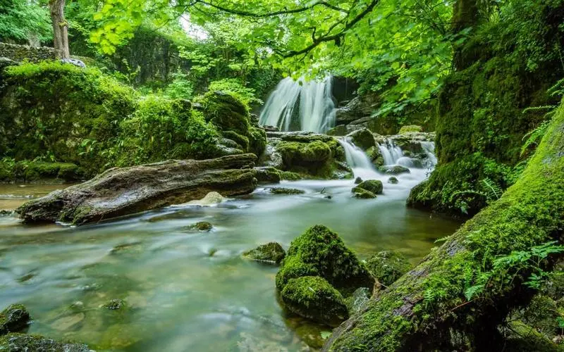 智能系统高标准科技